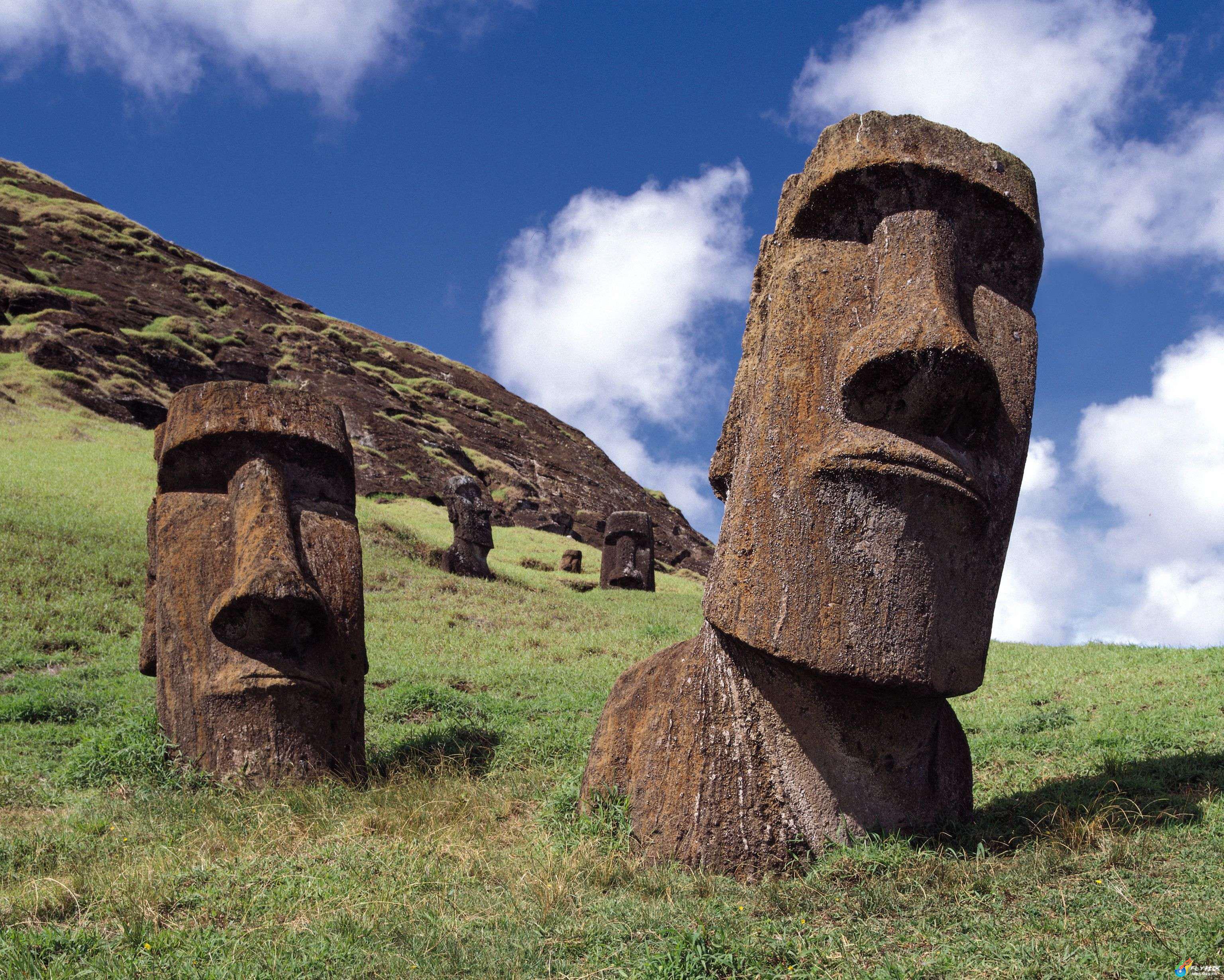 Где находятся идолы. Каменные истуканы острова Пасхи. Остров Пасхи статуи Моаи. Статуи истуканов на острове Пасхи.